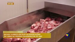 aumentaram-as-exportacoes-catarinenses-de-carne-o-primeiro-quadrimestre-deste-ano