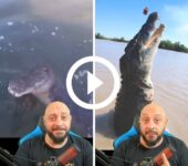 video:-pescador-quase-vira-refeicao-de-crocodilo-e-impressiona-biologo:-‘coisa-maravilhosa’