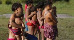 dpu-pede-ajuda-a-lira-para-rejeitar-projeto-que-dificulta-demarcacao-de-terras-indigenas
