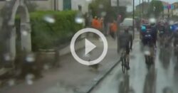 video:-cachorro-invade-prova-de-ciclismo-e-derruba-campeao-mundial