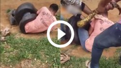 video:-homem-atacado-por-cobra-gigante-e-socorrido-por-moradores;-veja