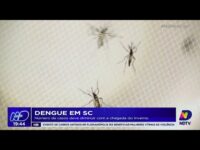 dengue-em-sc:-38-pessoas-ja-morreram-por-causa-da-doenca-e-28-cidades-estao-em-epidemia