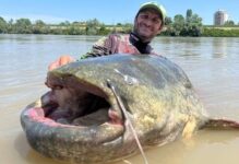 ‘verdadeiro-monstro-do-rio’:-bagre-gigantesco-e-fisgado-e-pescador-quase-se-da-mal