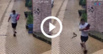 video:-cobra-peconhenta-lanca-bote-bote-mortal-em-pedestre-em-meio-a-‘selva-de-pedra’