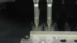 cientistas-vao-testar-vacina-contra-fentanil-em-humanos