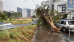 chuvas-no-rs:-quase-14-mil-foram-afetados-pelo-temporal-no-estado