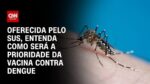 vacina-do-butantan-contra-dengue:-conheca-o-imunizante-nacional