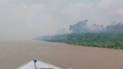 fogo-persiste-em-area-de-patrimonio-natural-da-humanidade,-no-pantanal-(ms)