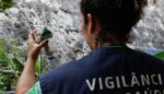 brasil-tem-mais-de-345-mil-casos-provaveis-e-36-mortes-por-dengue