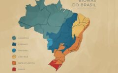 conheca-as-caracteristicas-geograficas-do-brasil