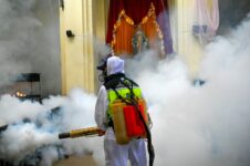 guatemala-declara-estado-de-alerta-por-dengue-apos-tres-obitos-e-sete-mil-casos