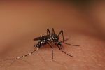 juiz-de-fora-investiga-terceira-morte-suspeita-por-dengue