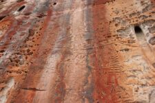 queimadas-e-vandalismo-ameacam-pinturas-rupestres-com-cerca-de-2-mil-anos-encontradas-no-jalapao