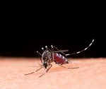prefeitura-de-atibaia-vai-decretar-situacao-de-emergencia-por-epidemia-de-dengue;-entenda