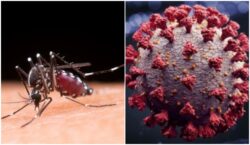 cidade-de-sp-decreta-estado-de-emergencia-para-a-dengue