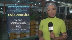 brasil-bate-recorde-de-exportacao-de-frutas-em-2023